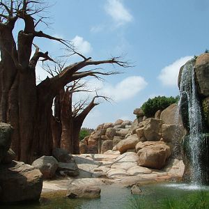 Elephant Exhibit at Bioparc Valencia, 28/05/11