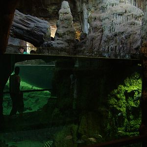 Fish and Turtle Exhibit at Bioparc Valencia, 28/05/11