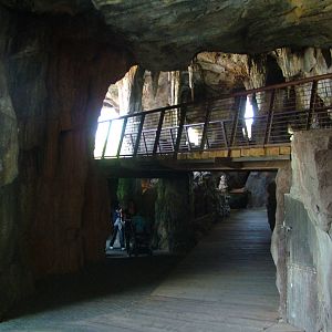 Kitum Cave Area at Bioparc Valencia, 28/05/11
