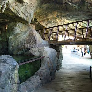 Kitum Cave at Bioparc Valencia, 28/05/11