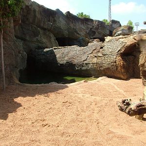 Nile Crocodile Exhibit at Bioparc Valencia, 28/05/11