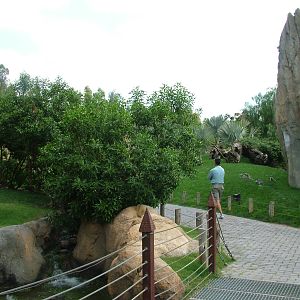 Lemur Walkthrough at Bioparc Valencia, 28/05/11