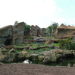 General View at Bioparc Valencia, 28/05/11