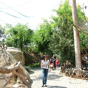 Walkthrough Aviary at Bioparc Valencia, 28/05/11
