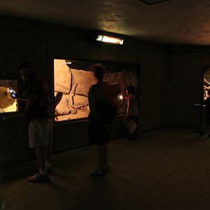 small cat house at night