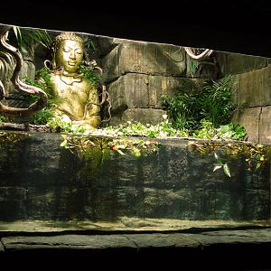 New Reptile House Theming