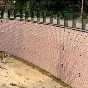 Tigermoat at Eberswalde