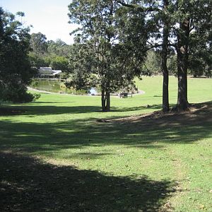 Expansive Lawns