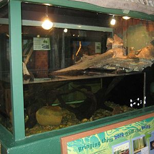 Mertens Water Monitor tank