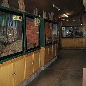 Reptile House interior