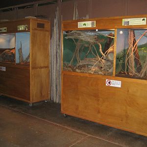 Reptile House interior