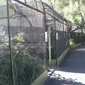 Row of Aviaries
