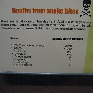 Death From Snakebite sign
