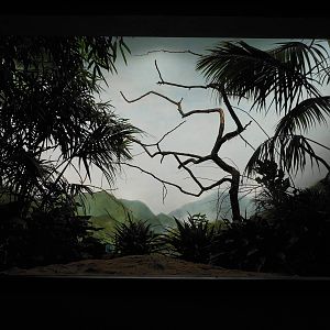 Bronx Zoo- Exhibit @ World of Birds