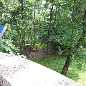 Bronx Zoo- Part 1 of White-naped Crane Exhibit Outside World of Birds