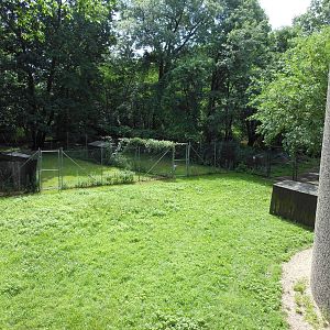Bronx Zoo- Part 2 of White-naped Crane Exhibit Outside World of Birds