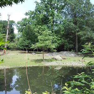 Bronx Zoo- Part 2 of Pere David's Deer Exhibit