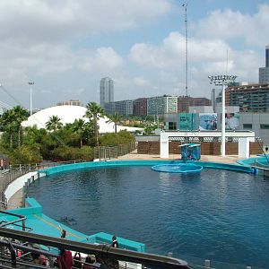 Dolphinarium at Oceanografic, 29/05/11