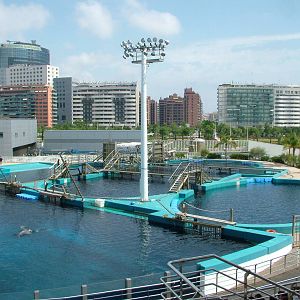 Dolphinarium at Oceanografic, 29/05/11