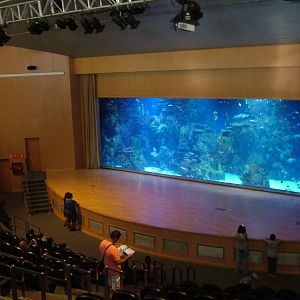 Red Sea Auditorium at Oceanografic, 29/05/11