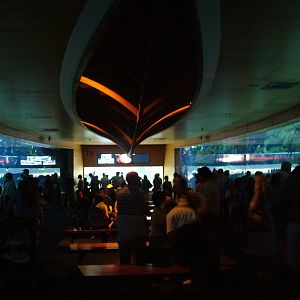 Tropical Aquarium at Oceanografic, 29/05/11