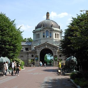 Bronx Zoo- Zoo Center