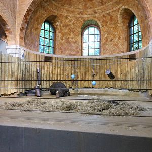 Bronx Zoo- Indian Rhinoceros Pen @ Zoo Center