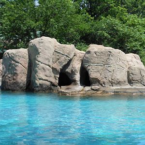 Bronx Zoo- Sea Lion Pool @ Astor Court
