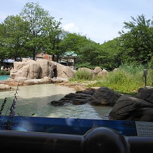Bronx Zoo- Part 2 of Sea Lion Exhibit @ Astor Court