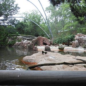 Bronx Zoo- View Inside Sea Bird Aviary
