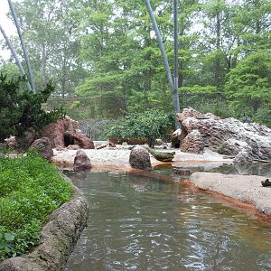 Bronx Zoo- View Inside Sea Bird Aviary 2