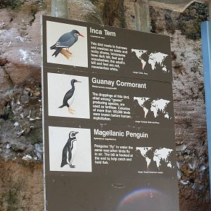 Bronx Zoo- Sea Bird Aviary Signage Part 1
