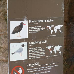 Bronx Zoo- Sea Bird Aviary Signage Part 2