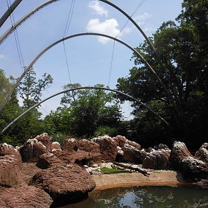 Bronx Zoo- View Inside Sea Bird Aviary 3