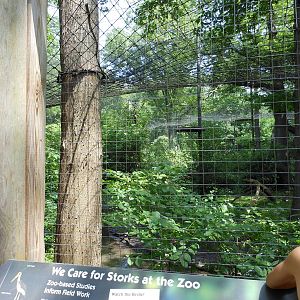 Bronx Zoo- Lesser Adjutant Stork Aviary Outside Aquatic Bird House