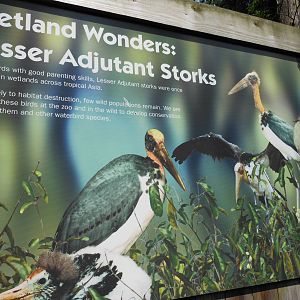 Bronx Zoo- Lesser Adjutant Stork Conservation Sign Outside Aquatic Bird Hou