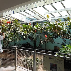 Bronx Zoo- Beautiful Wetland Exhibit @ Aquatic Bird House