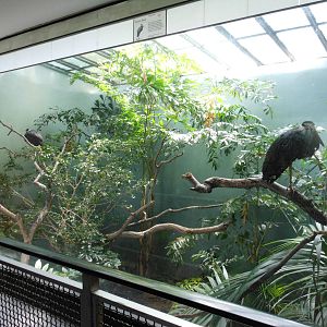 Bronx Zoo- Storm's Stork Exhibit @ Aquatic Bird House