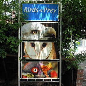 Bronx Zoo- Birds of Prey Sign
