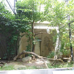 Bronx Zoo- Snowy Owl Aviary @ Birds of Prey