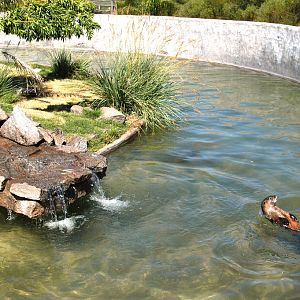 Bioparque M'Bopicuá (Uruguay)