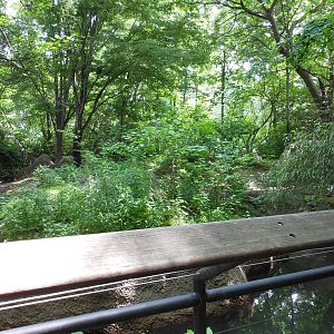 Bronx Zoo- Malayan Tapir Exhibit Outside the Zoo Center