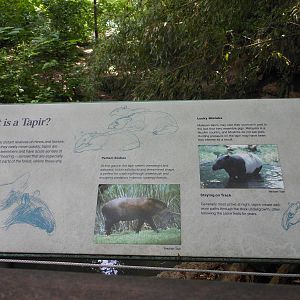 Bronx Zoo- Malayan Tapir Exhibit Signage