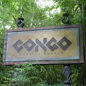 Bronx Zoo- Congo Gorilla Forest Sign