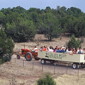 high tech safari vehicle