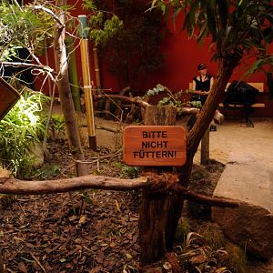 New australia-house at Hamburg