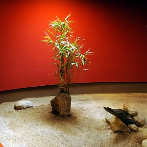 New australia-house at Hamburg