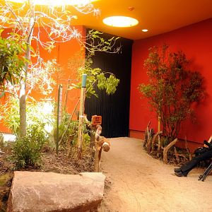 New australia-house at Hamburg