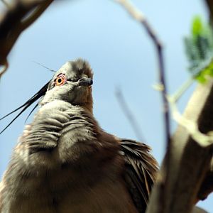 New australia-house at Hamburg