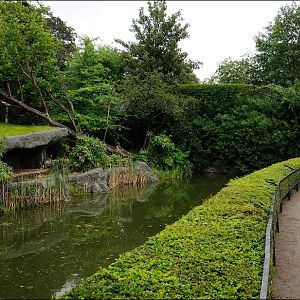 Amur-tiger exhibit at Hamburg